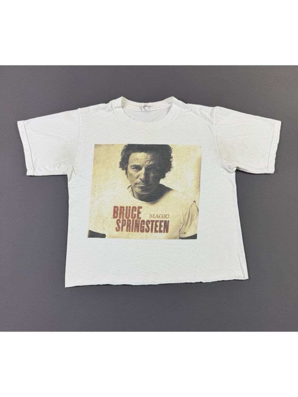 Rare Vintage Y2K Bruce Springsteen Magic Music Tour Band Tee Crop Top Small Tee